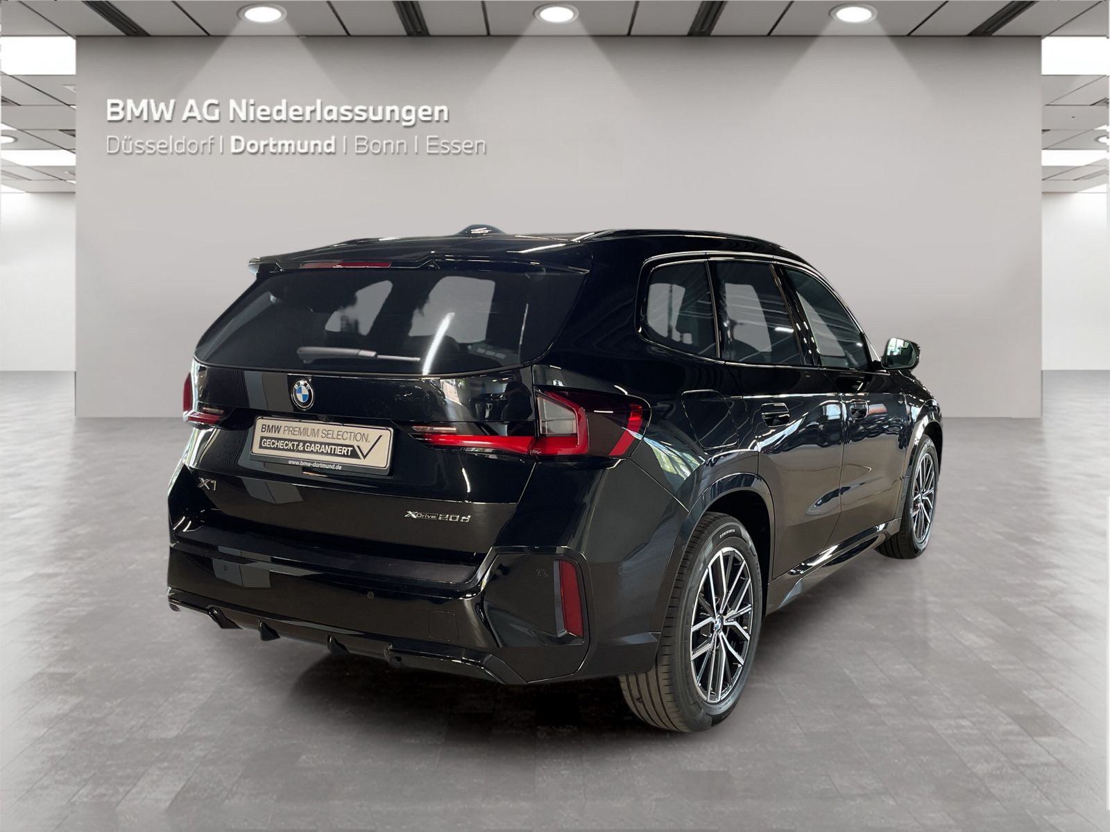 BMW X1 xDrive20d M Sport AHK Driv.Assist Harman K foto 4