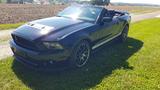Ford Mustang Shelby GT500 SVT Cabrio - aus 2011: Shelby
