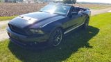 Ford Mustang Shelby GT500 SVT Cabrio - Ford Mustang: Cabrio, Gt500