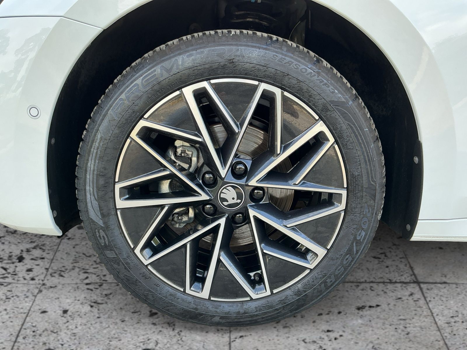 Skoda Octavia - Bild 7