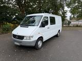 Mercedes-Benz Mercedes Benz Sprinter 312 D *1. Hand*/Wen... - Mercedes-Benz Sprinter: 312 D