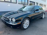 Jaguar XJ 8 mit Vollausstattung - Jaguar XJ8: Jag