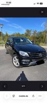 Mercedes-Benz ML 250 BlueTEC 4MATIC - - Mercedes-Benz ML 250 aus 2015