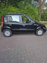 Fiat Pinto - gebrauchte Fiat Punto aus dem Jahr 2006