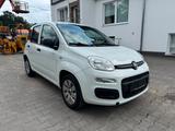 Fiat Panda Pop - Fiat Panda Gebrauchtwagen in Düsseldorf