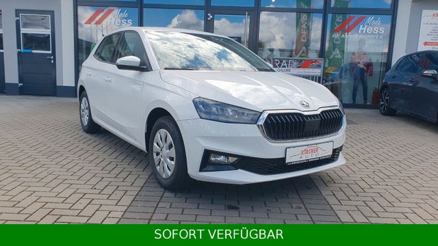 Skoda Fabia 1.0 Selection *TEMPO*SHZ*VirtualCo*PDC