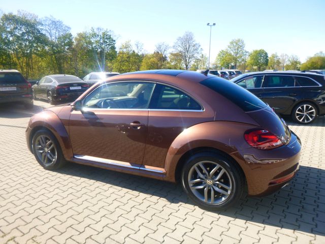 Fahrzeugabbildung Volkswagen Beetle 1,2 TSI >NAV/KAM/PANO/PDC<