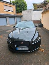 Jaguar jaguar xf 3.0 tdi sportbrake bi turbo Zahn... - Jaguar XF in Köln