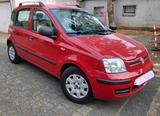 Fiat Panda - Fiat Panda Gebrauchtwagen in Frankfurt