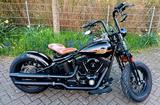Harley-Davidson FLSTSB X-Bones Crossbones - HARLEY-DAVIDSON FLSTS