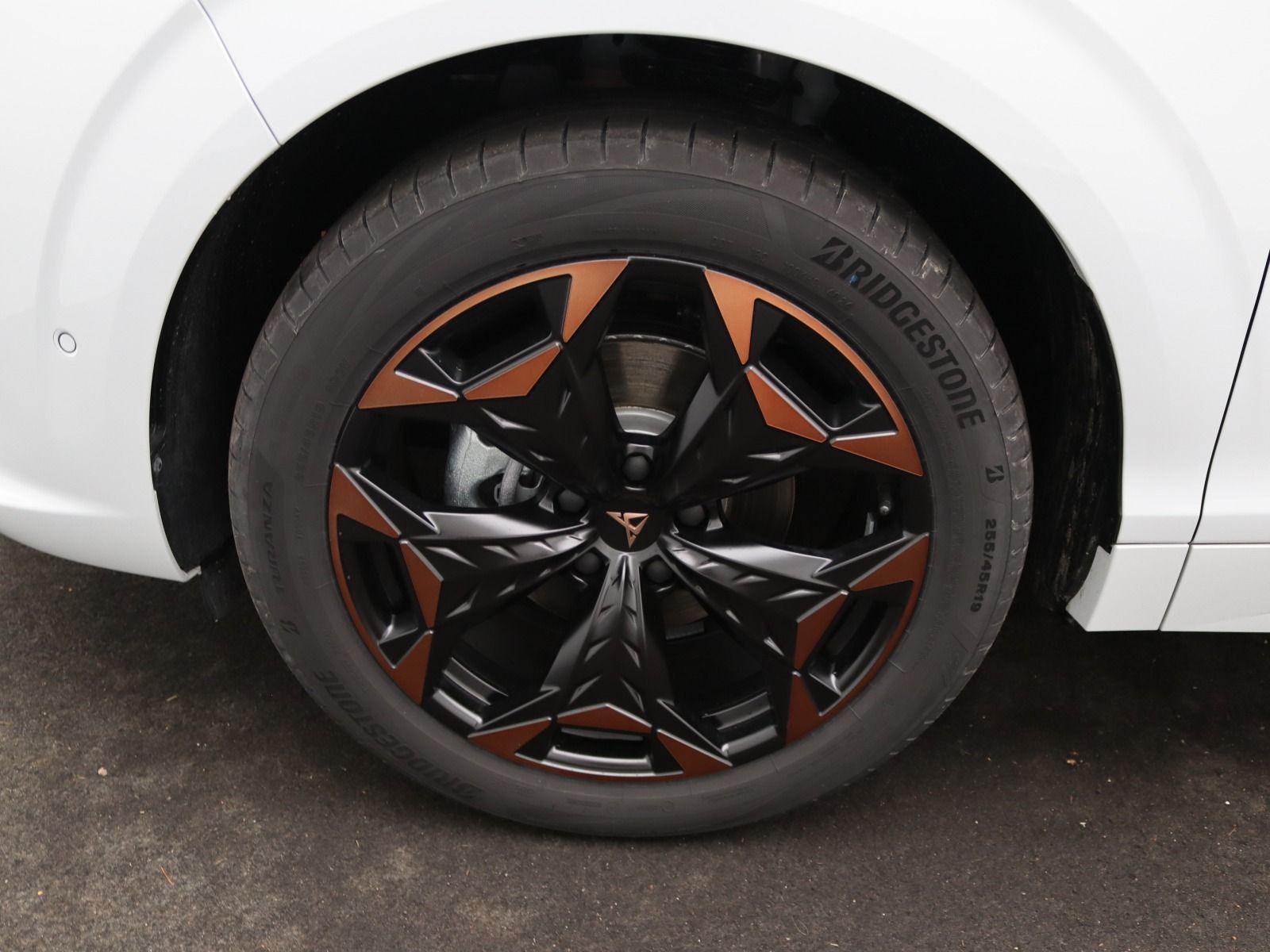 Cupra Terramar - Bild 16