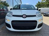 Fiat Pandina Hybrid Icon Klima PDC DAB Bluetooth... - Fiat Panda Gebrauchtwagen in Stuttgart