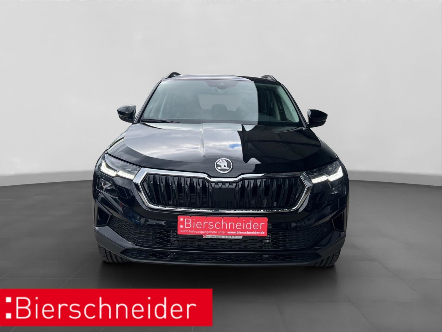 Skoda Karoq - Bild 10