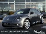 Volkswagen Beetle Lim. Exclusive Design BI-XENON/NAVI/PANO - Volkswagen Beetle: Exclusive Design