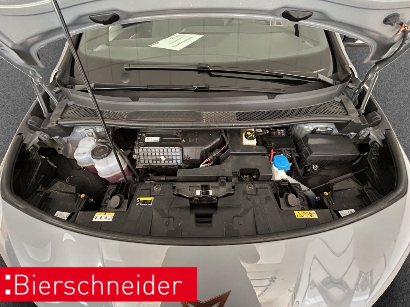 Cupra Born - Bild 26
