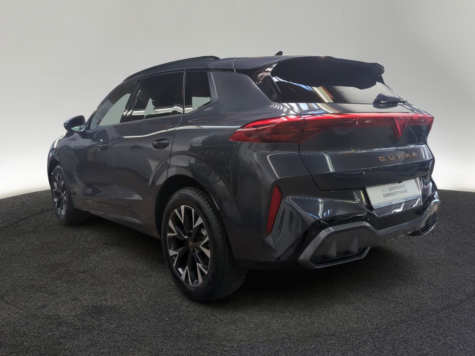 Cupra Terramar - Bild 3