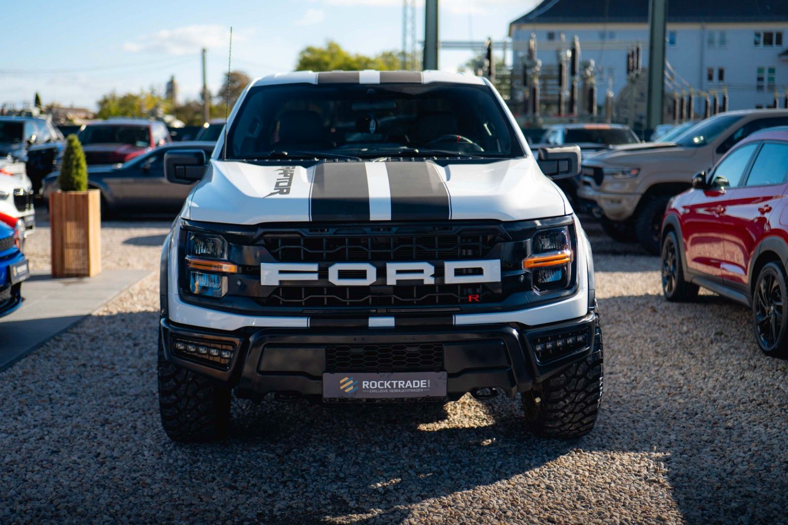Fahrzeugabbildung Ford F150 5.0L V8 4x4 Offroad SuperCrew RAPTOR 19%