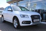 Audi Q5 2.0 TDI Sitzheizung Xenon Tüv Neu - Audi Q5: Weiß