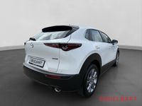 Mazda CX-30 - Vorschau Bild 4