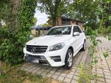 Mercedes-Benz Mercedes Benz ML 250 BlueTEC 4matic *AMG P... - Mercedes-Benz ML 250 aus 2015