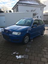 Volkswagen VW Polo 6N1 Edition Faltdach - Volkswagen Polo: Faltdach