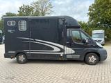 Peugeot Boxer Equitrek 1-2 Pferdetransporter - Tier- & Pferdetransport für 2 Pferde