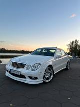 Mercedes-Benz E 55 AMG Kompressor 60.000 km - Mercedes-Benz E 55 AMG: Limousine