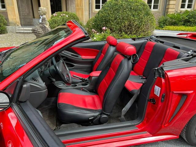 Ford Mustang Leder