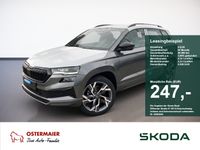 Skoda Karoq - Vorschau Bild 1