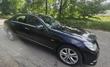 Mercedes-Benz E 350 CDI 4MATIC BlueEFFICIENCY AVANTG. AVAN... - Mercedes-Benz E 350: Cdi Blueefficiency