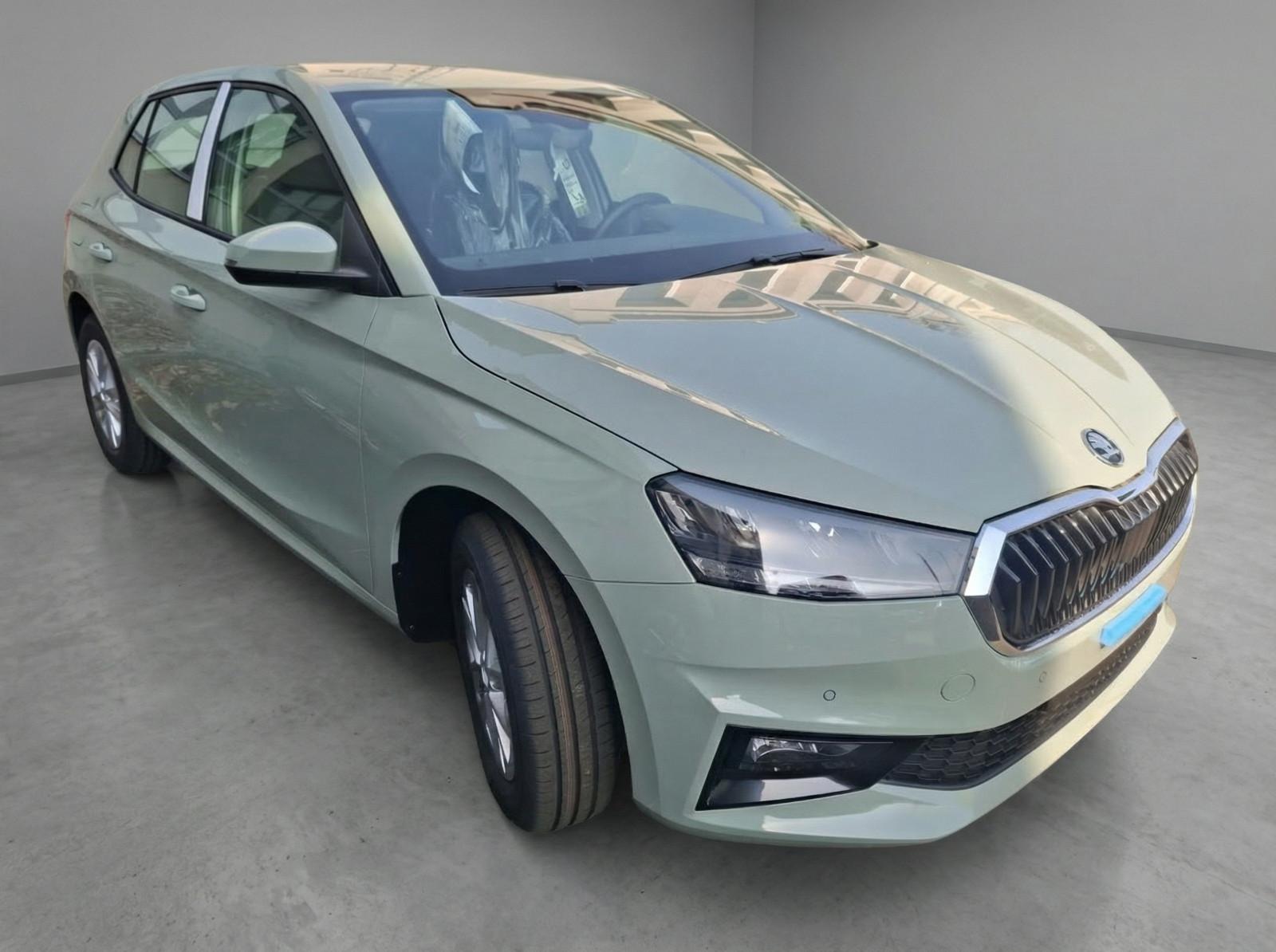Skoda Fabia 1.0 TSI Selection *2ZONEN*SITZH*PDC*TEMPO*