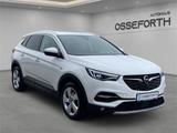Opel Grandland Business Innovation 1.2l +LEDER+NAVI - gebrauchte Opel Grandland (X) aus dem Jahr 2018
