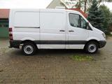 Mercedes-Benz Sprinter 313 CDI Kühlkasten CarrierVento300TÜV - Mercedes-Benz 300cd