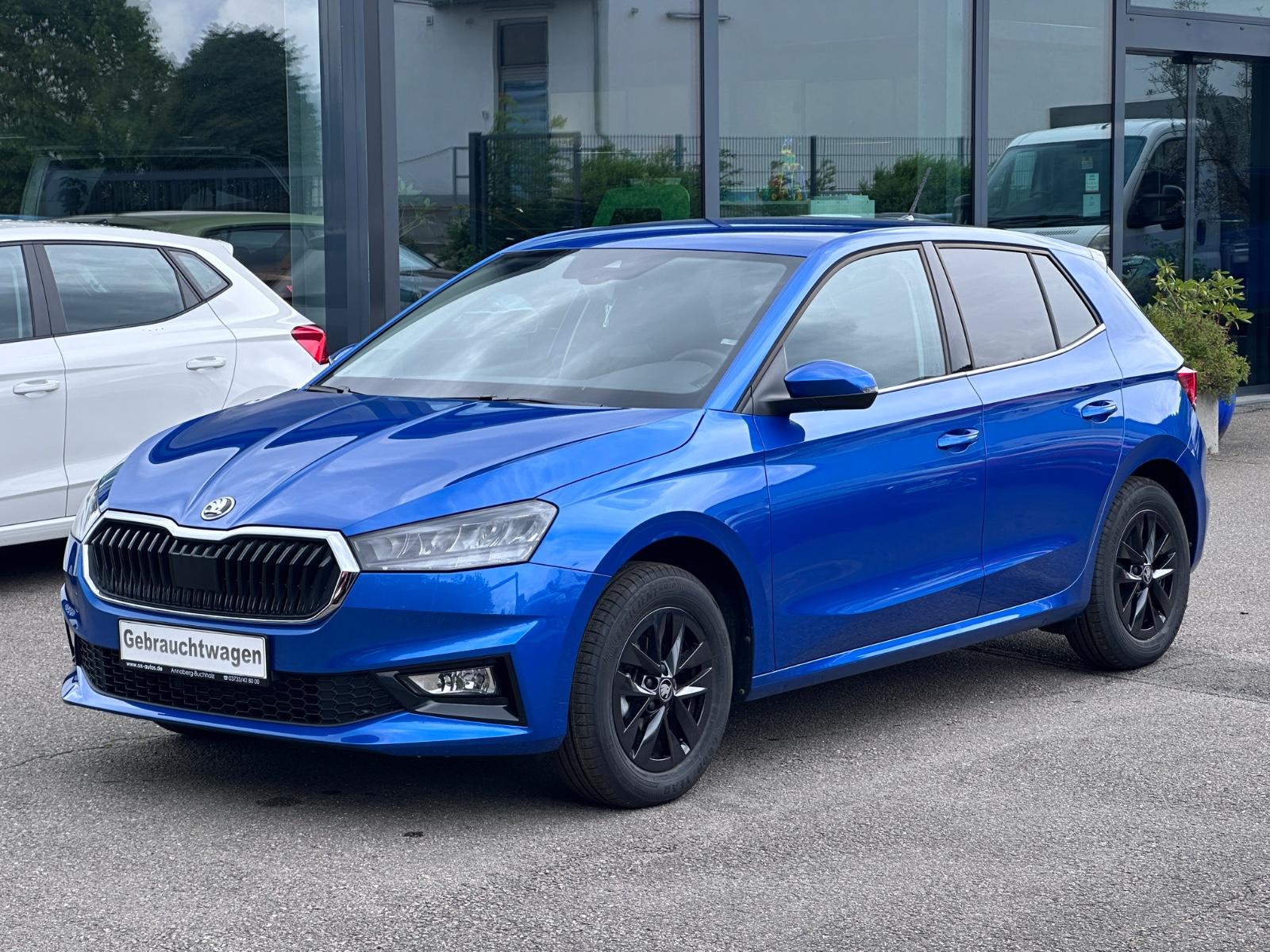 Skoda Fabia 1.0TSI TOP Selection 5 Jahre Garantie