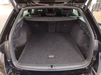 Skoda Octavia - Vorschau Bild 6