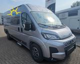 Karmann Davis Lifestyle DA 620 LS Automatik Aktion CSD - Kastenwagen Cs