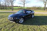 Ford Mustang Convertible - Ford Mustang aus 2010: Cabrio