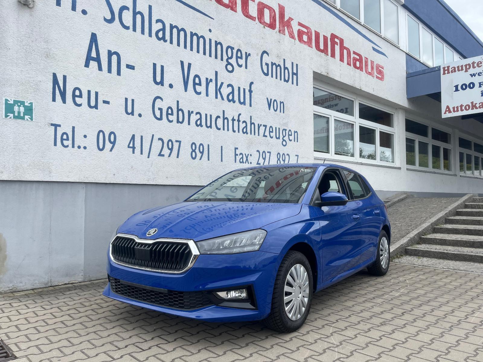 Skoda Fabia 1.0 TSI Selection