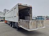 Fliegl FLT235 Viehtransport/2-ACHSER/LUFTFEDERUNG/ - Fliegl Tieflader