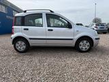 Fiat Panda 1.2 8V Dynamic Klima Aus 1 Hand - gebrauchte Fiat Panda aus dem Jahr 2009