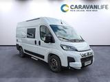 Freedo RV 541 LT Comfort+ 180 PS Lieferbar ab KW 17  - Freedo RV Wohnwagen & Wohnmobile