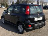 Fiat Panda MY24 1.0 Klima PDC Citypaket - Fiat Panda in Leipzig