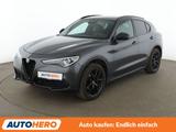 Alfa Romeo Stelvio 2.0 Turbo Q4 B-Tech Aut.*NAVI*BI-XENON* - Alfa Romeo Gebrauchtwagen von 2020
