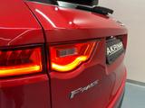 Jaguar F-PACE Pure AWD **NAVI*8-GANAG-AUTOM** - Jaguar F-PACE Pure mit Diesel-Antrieb