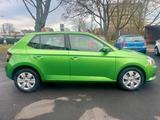 Skoda Fabia Cool Edition/1.HAND/ELF/KLIMA/PDC/ - Skoda Fabia: Grün