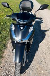 Honda SH 150  Timeless Grey Metallic  Sofort verfügbar - ROLLER 150