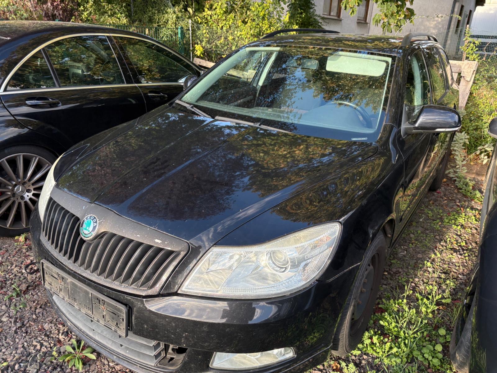 Skoda Octavia 2010 — rear view