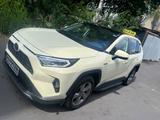 Toyota RAV 4 RAV4 Hybrid 4x2 Lounge - mit Hybrid-Antrieb: Taxi