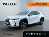 Lexus UX 300e *Luxury*Komfort-Plus*Executive Paket*