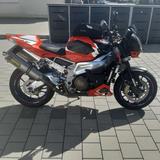 Aprilia RSV 1000 RR Tuono - APRILIA NAKED BIKE